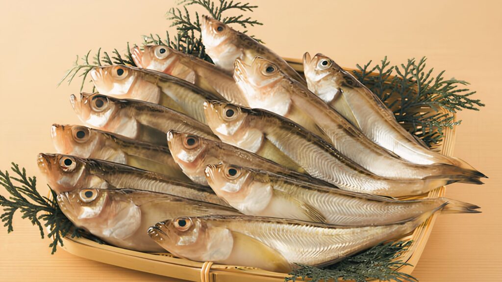 「鰰」魚へんに「神」── 雷を司る神に由来する深海魚